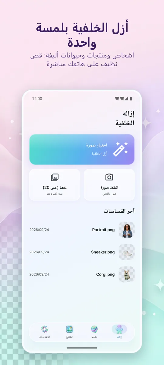 مزيل الخلفية: الشاشة الرئيسية