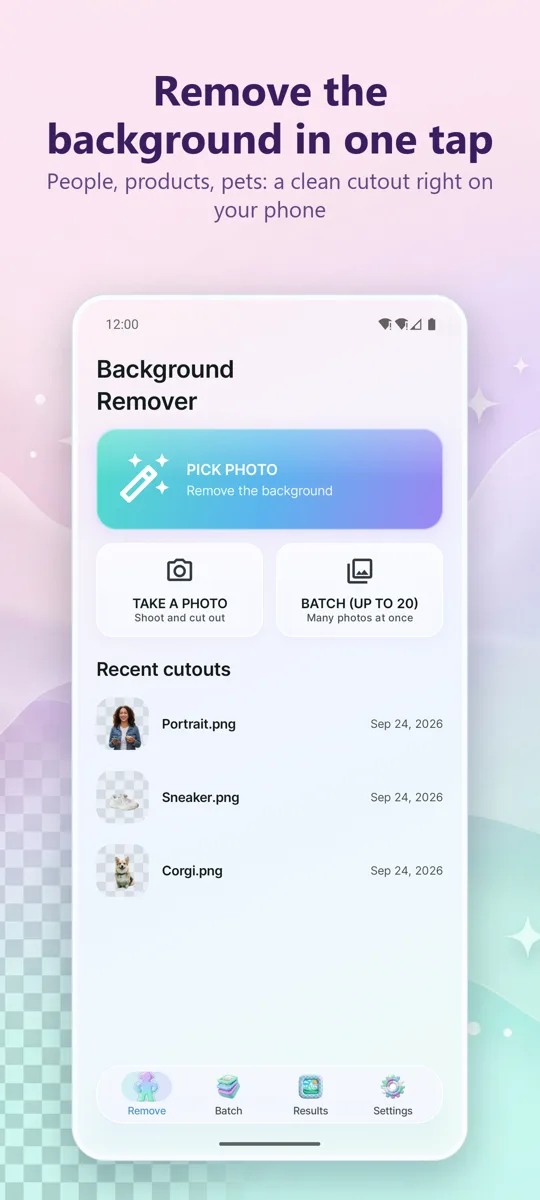 Background Remover — main screen