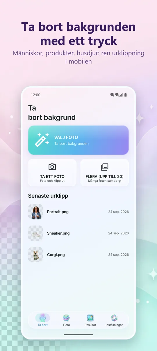 Bakgrundsborttagare: huvudskärm