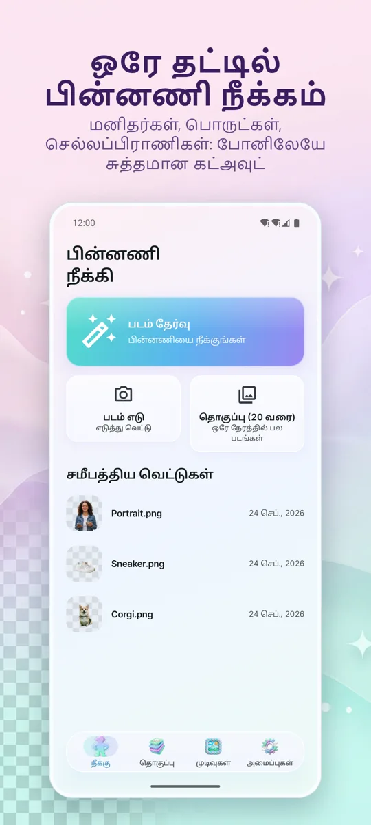பின்னணி நீக்கி: முதன்மைத் திரை