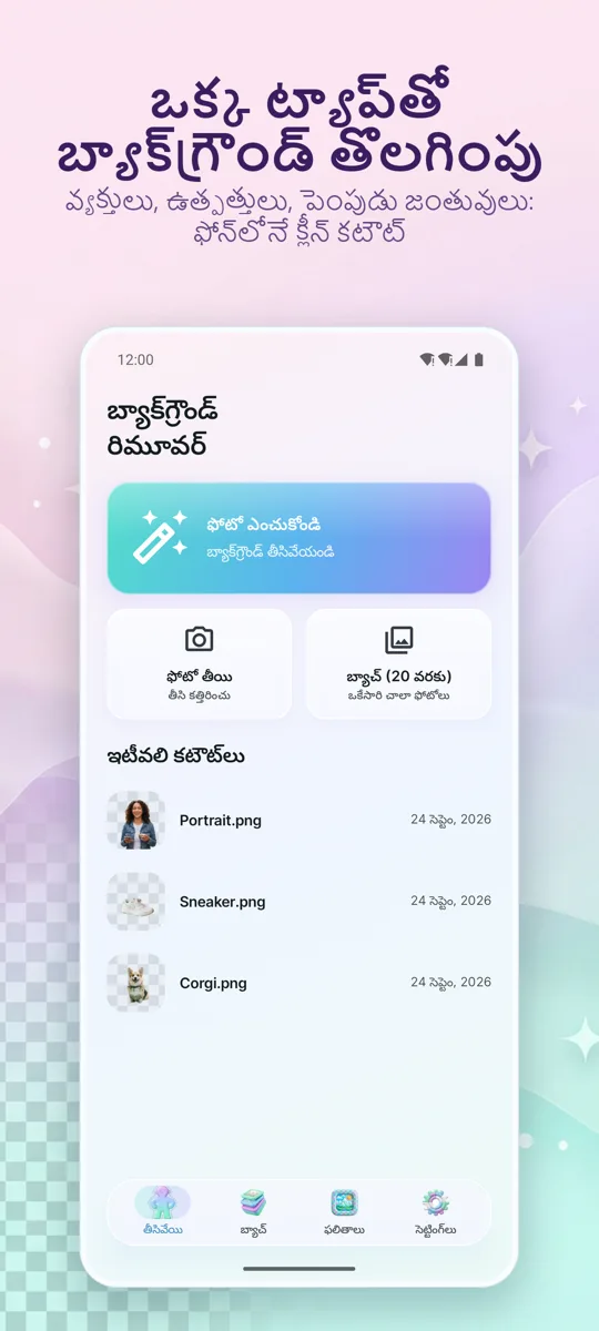నేపథ్య తొలగింపు: ప్రధాన స్క్రీన్