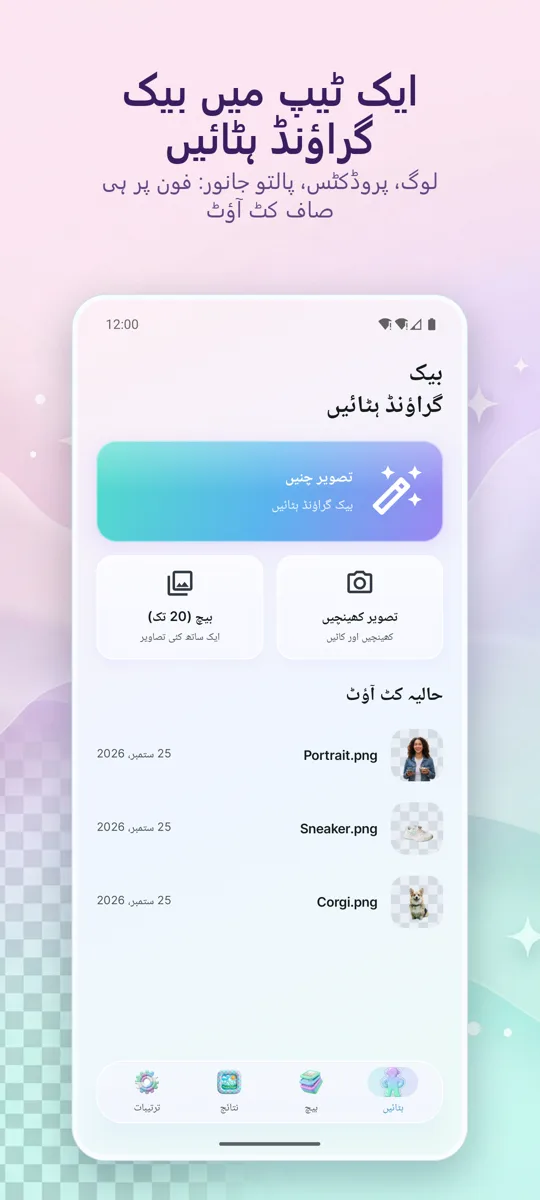 بیک گراؤنڈ ہٹائیں: مرکزی اسکرین