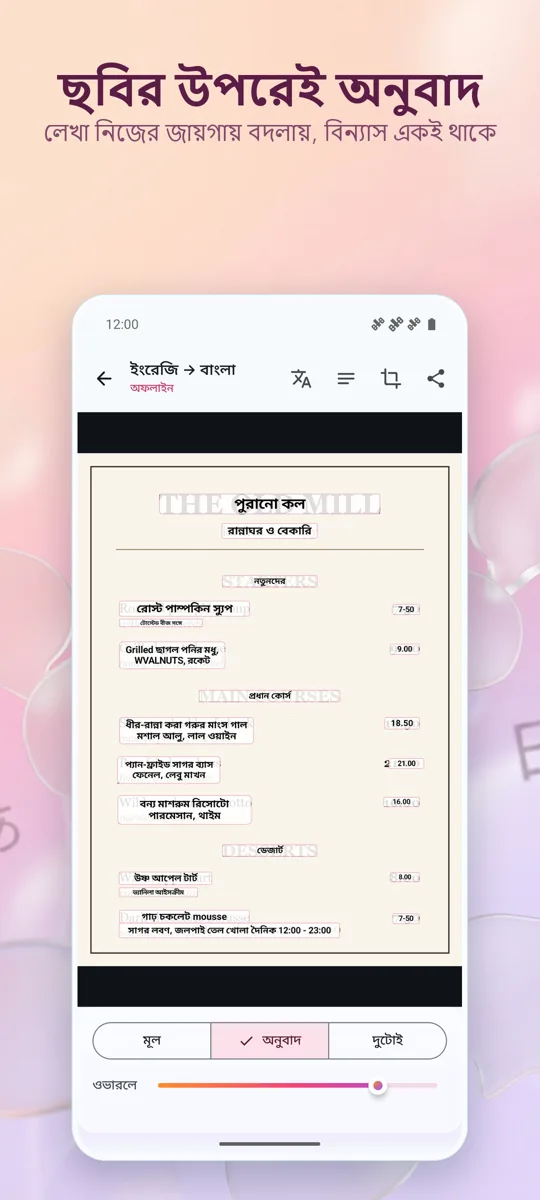 ক্যামেরা অনুবাদক: ছবি: 