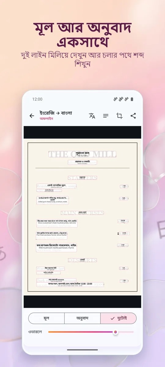 ক্যামেরা অনুবাদক: ছবি: 