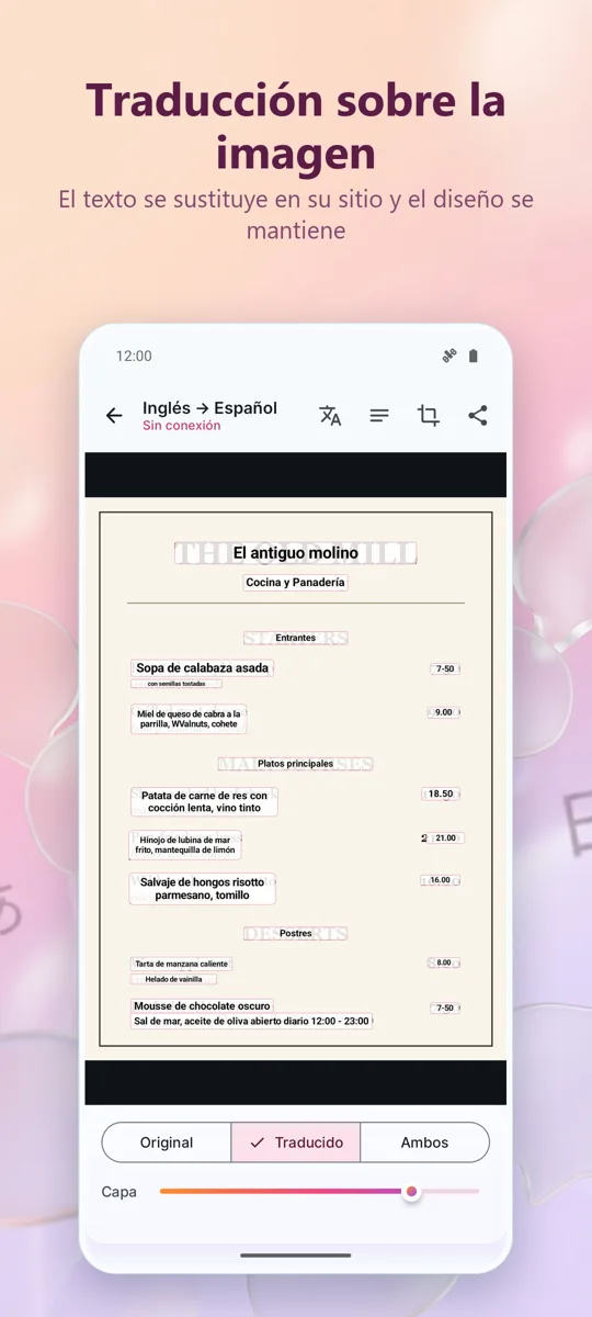 Traductor de Cámara: Foto: captura de pantalla 2