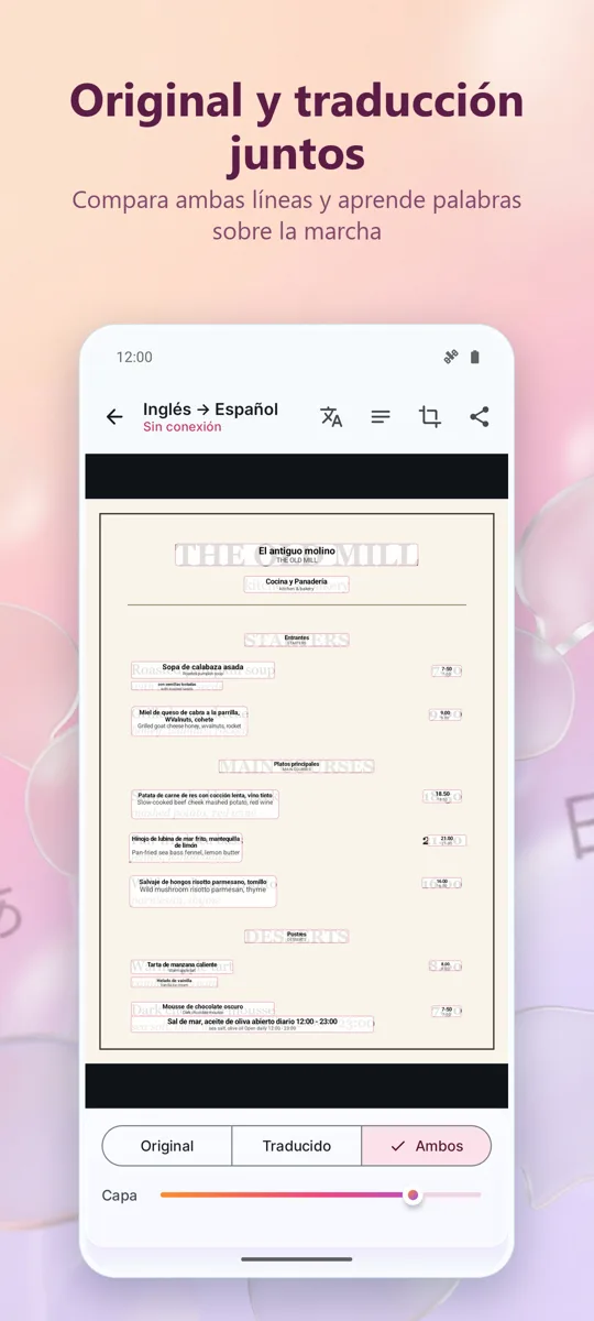 Traductor de Cámara: Foto: captura de pantalla 3
