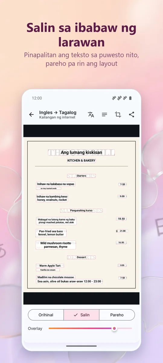 Camera Translator: Larawan: screenshot 2