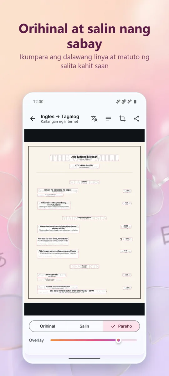 Camera Translator: Larawan: screenshot 3