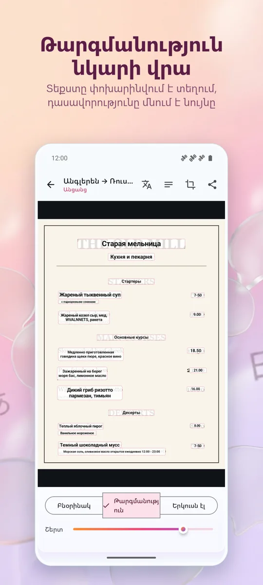 Տեսախցիկի Թարգմանիչ: Լուսանկար: 