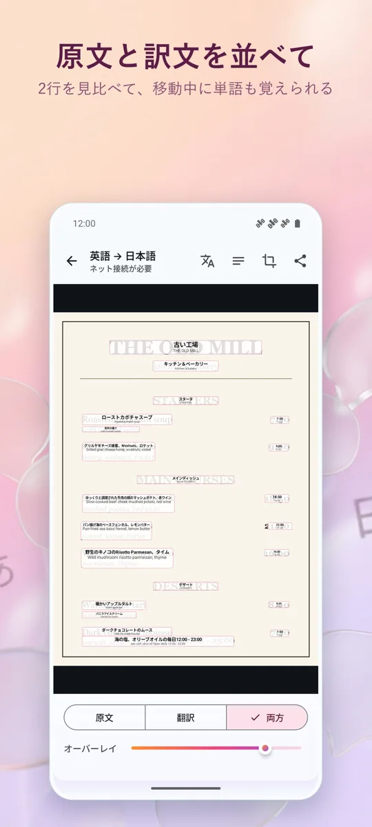 カメラ翻訳:写真: スクリーンショット 3