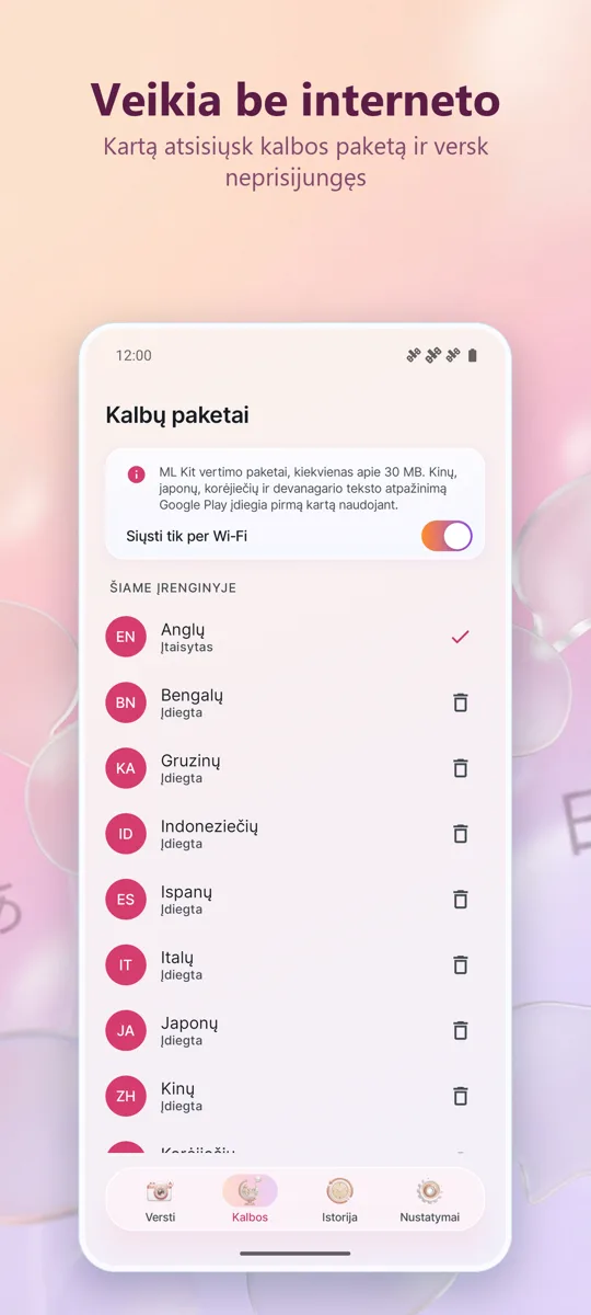 Kameros vertėjas: Nuotrauka: ekrano kopija 4