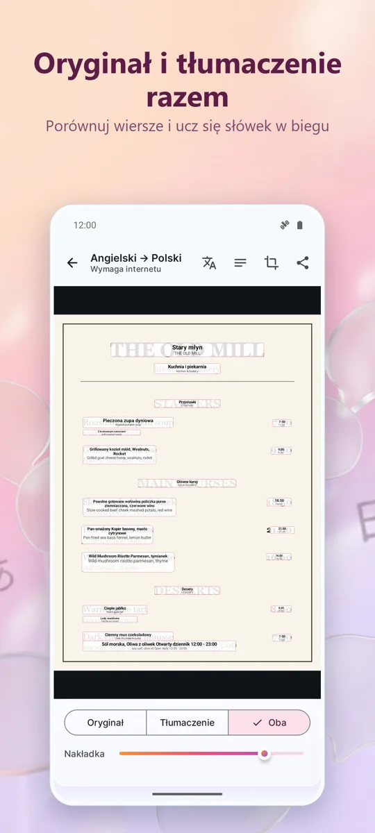 Tłumacz aparatem: Zdjęcia: zrzut ekranu 3