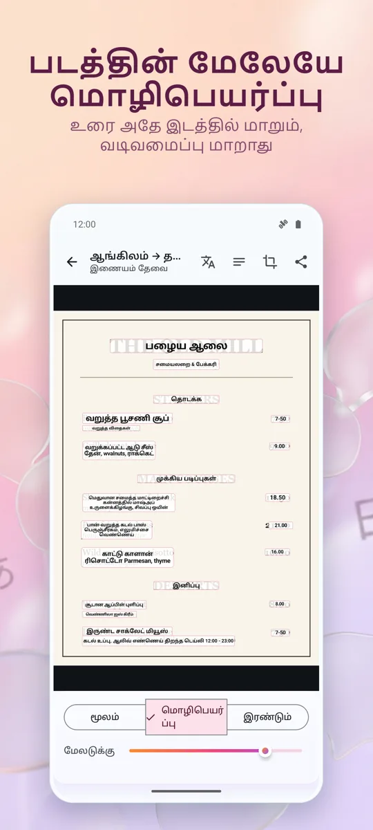 கேமரா மொழிபெயர்ப்பாளர்: படம்: 