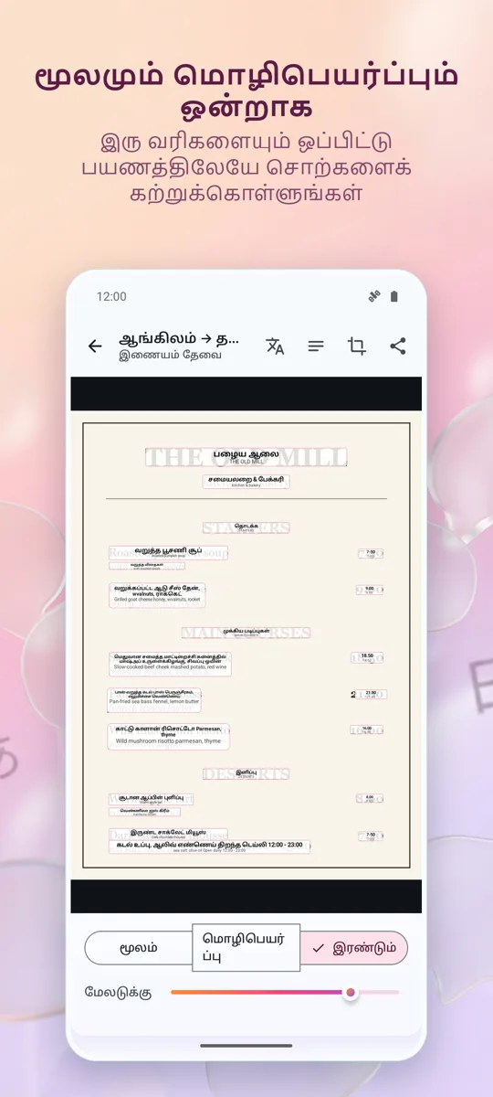 கேமரா மொழிபெயர்ப்பாளர்: படம்: 