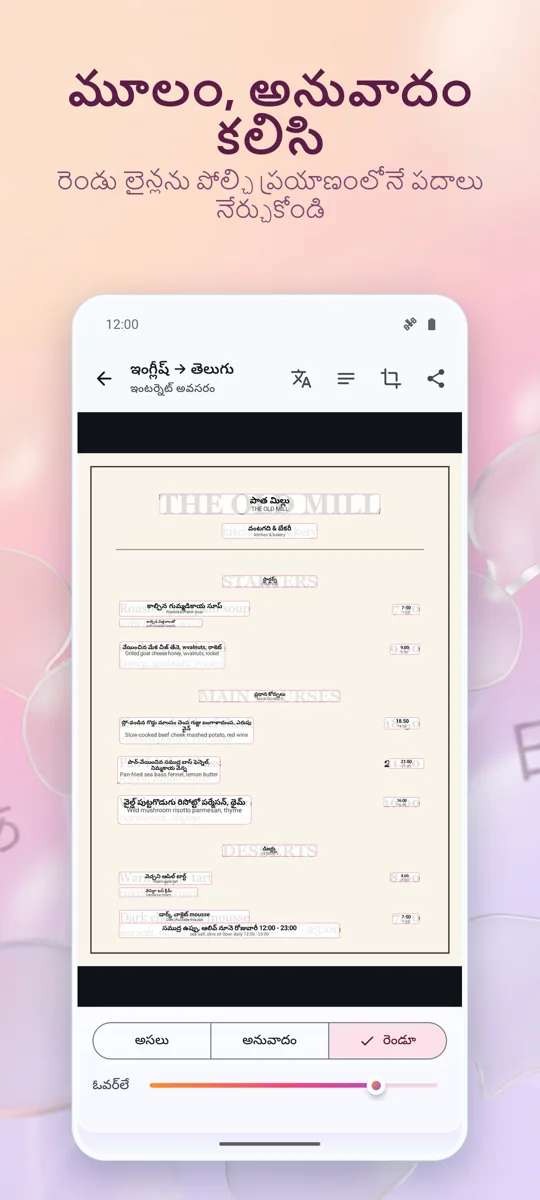 కెమెరా అనువాదకుడు: ఫోటో: 