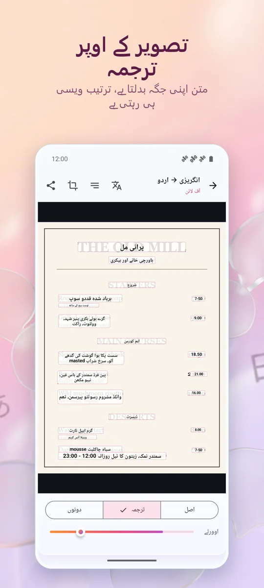 کیمرہ مترجم: تصویر: اسکرین شاٹ 2