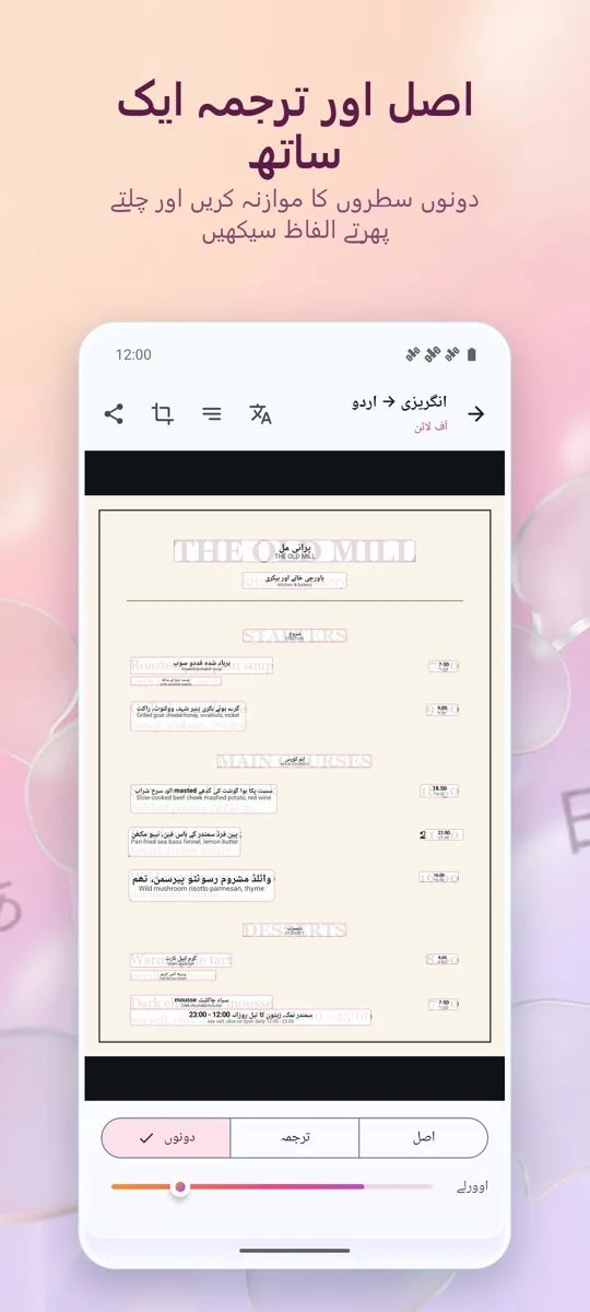 کیمرہ مترجم: تصویر: اسکرین شاٹ 3