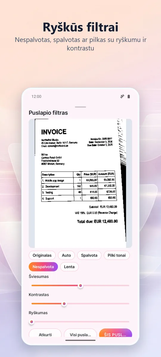 Dokumentų skaitytuvas: PDF: 