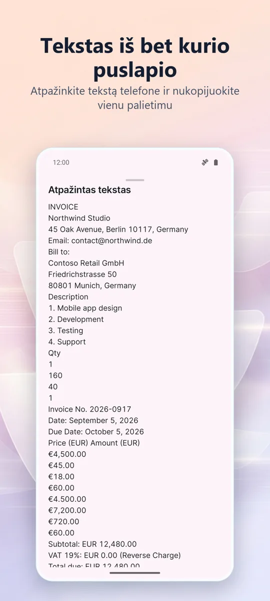 Dokumentų skaitytuvas: PDF: 