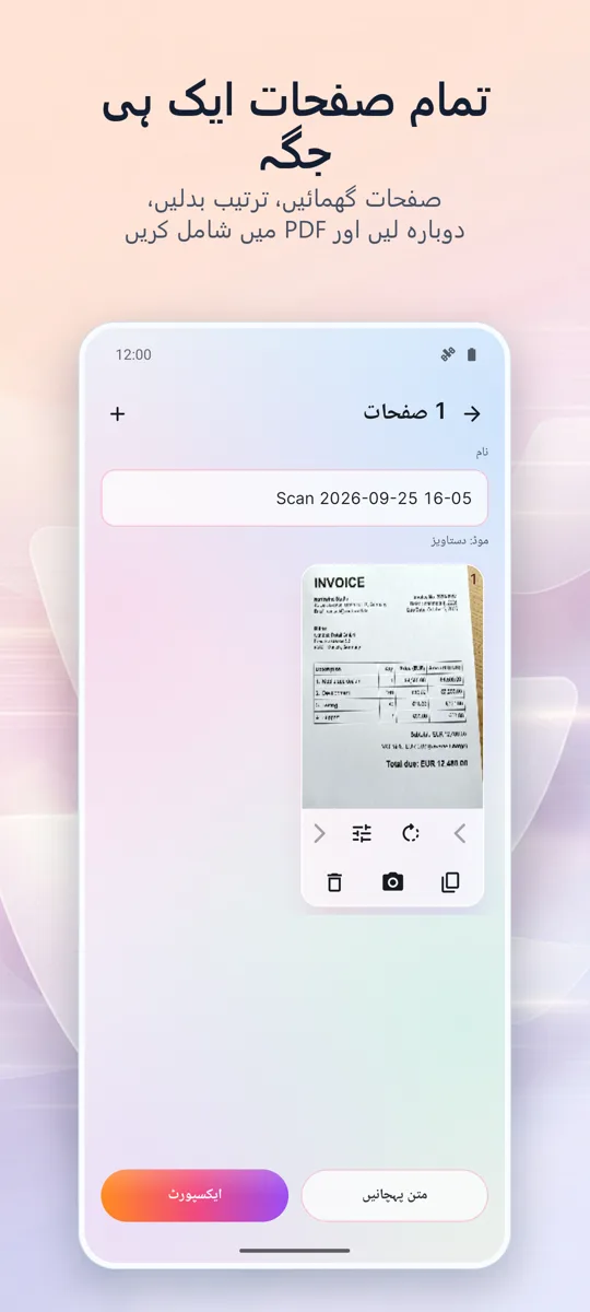 ڈاکومینٹ سکینر: پی ڈی ایف سکین: 