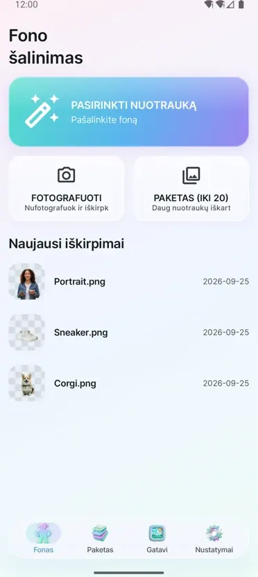 Fono šalinimas