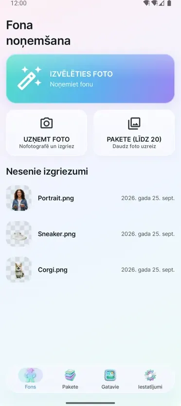 Fona noņemšana