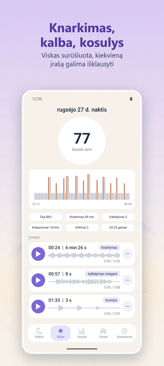 Naktinis diktofonas: ekrano kopija 2