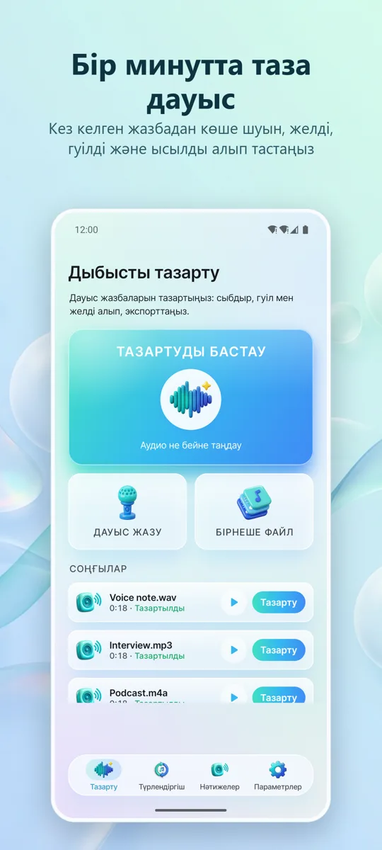 Шуды жою: Таза дыбыс: негізгі экран