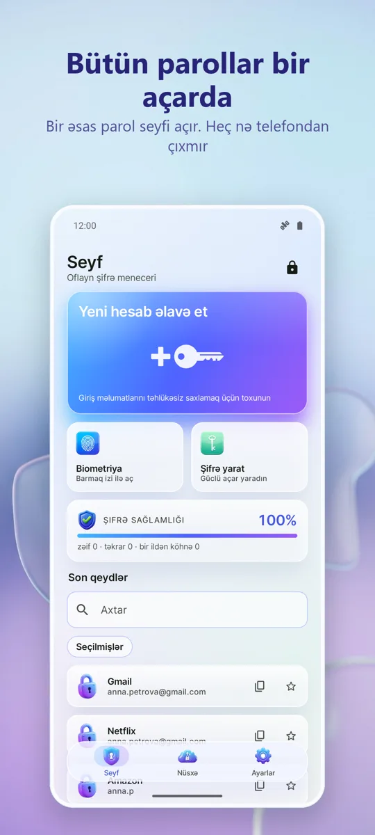 Şifrə Meneceri: Seyf: əsas ekran