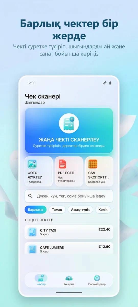 Түбіртек сканері: Шығыстар: негізгі экран