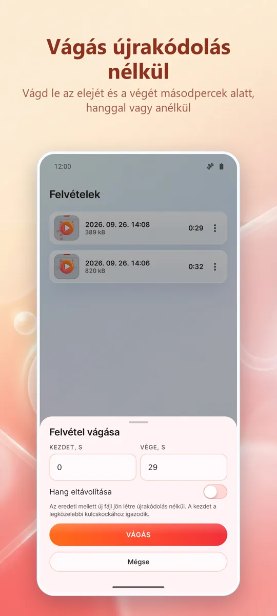 Képernyőfelvevő: HD Felvétel: képernyőkép 4