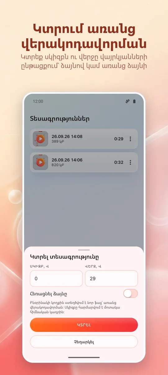 Էկրանի ձայնագրիչ: սքրինշոթ 4