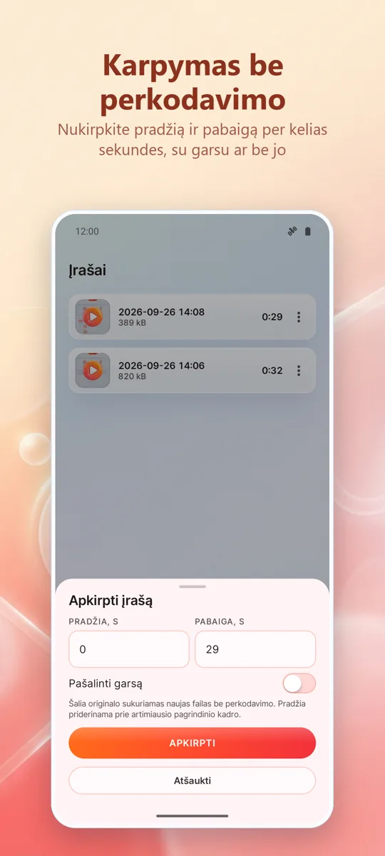 Ekrano įrašymas: HD įrašas: 