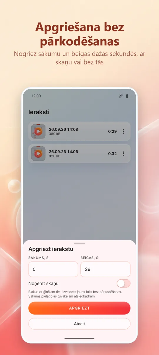 Ekrāna ierakstītājs: 