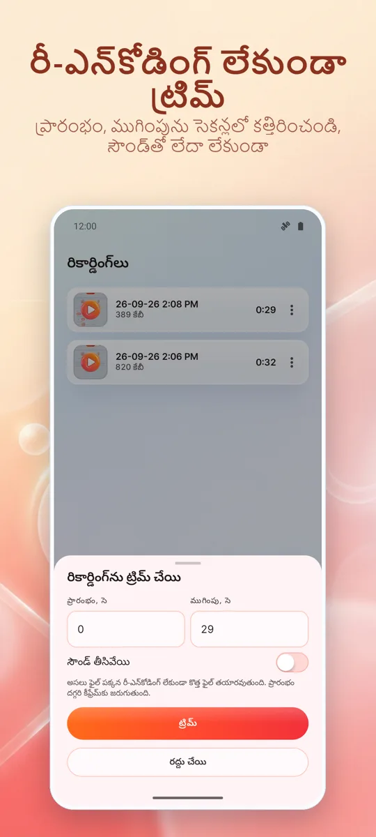 స్క్రీన్ రికార్డర్: 