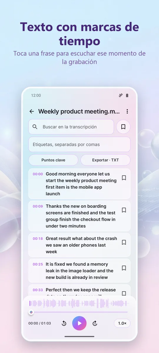 Transcriptor IA y subtítulos: captura de pantalla 2