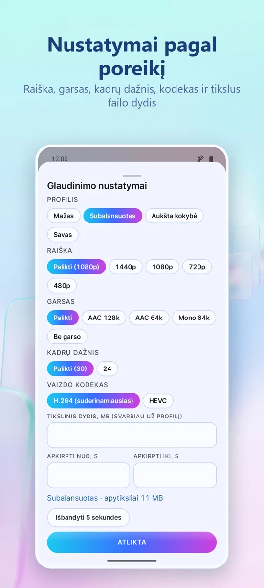 Video Compressor: ekrano kopija 2