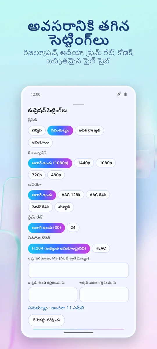 వీడియో కంప్రెసర్: స్క్రీన్షాట్ 2
